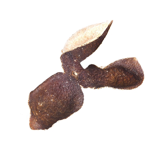 深圳怎麽泡新會柑普洱茶價格